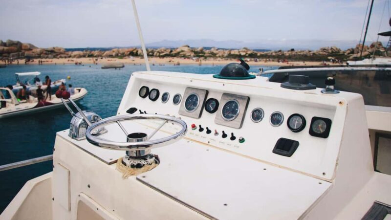 Santa Teresa: Speedboat tour around Lavezzi and Piana Island - Who Should Consider This Tour?