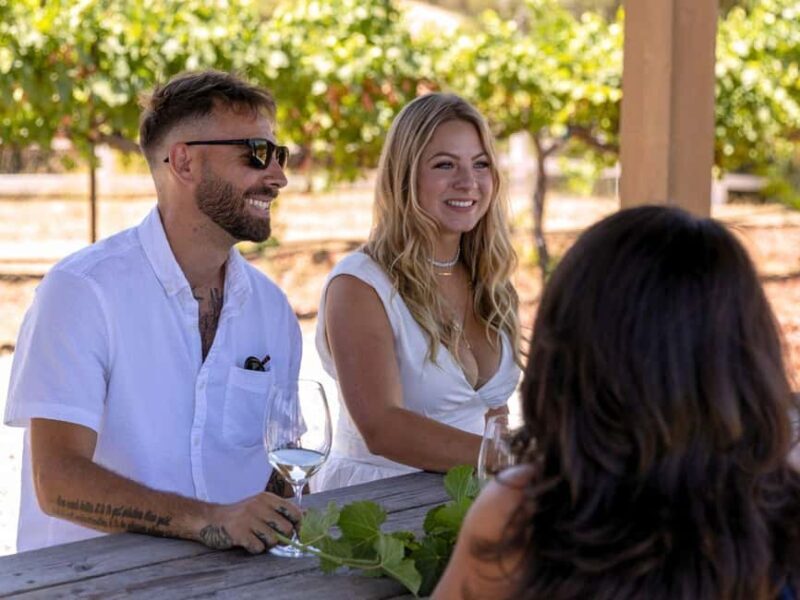 Santa Ynez: 3-Winery Tour Includes Tastings and Lunch - Why this tour stands out for travelers