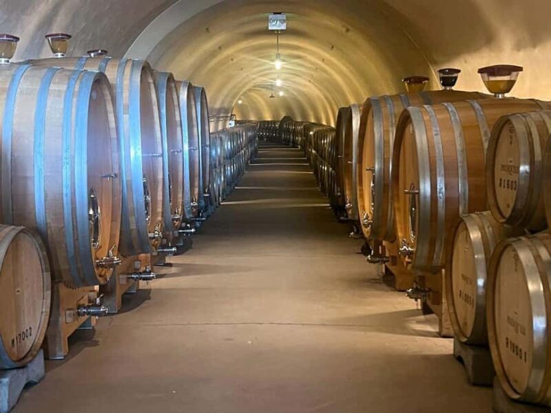 Santa Ynez: 3-Winery Tour Includes Tastings and Lunch - Final thoughts