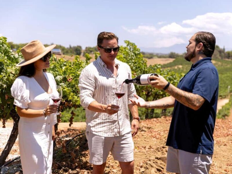 Santa Ynez: 3 Winery Tour with Picnic Lunch & Local Pickup - The Itinerary: A Well-Structured Journey