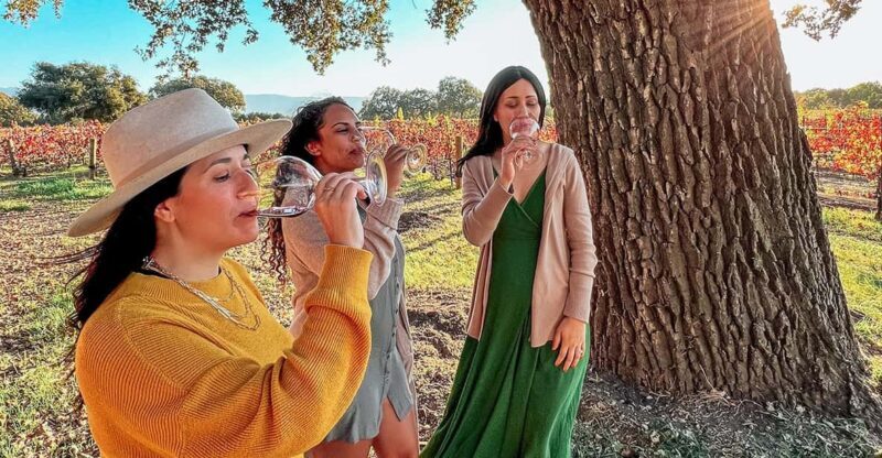 Santa Ynez: Private Wine Tour - A Detailed Look at the Santa Ynez Private Wine Tour