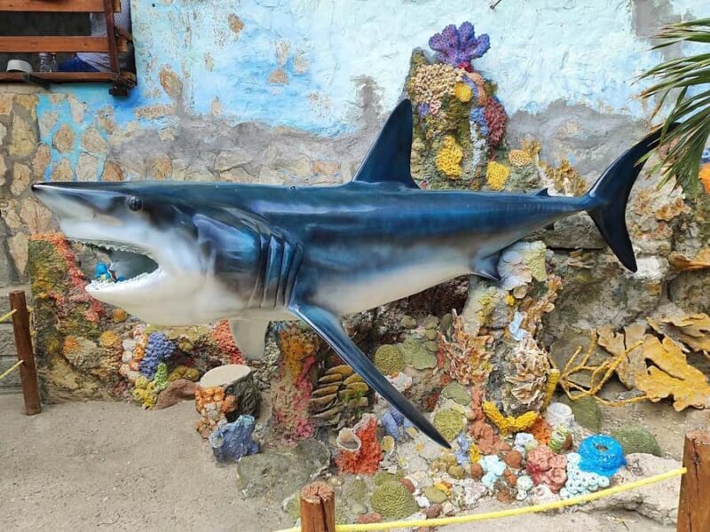 SANTAMARTA: Combo Daytour to Playa Blanca + Marine Aquarium & Lunch - The Sum Up