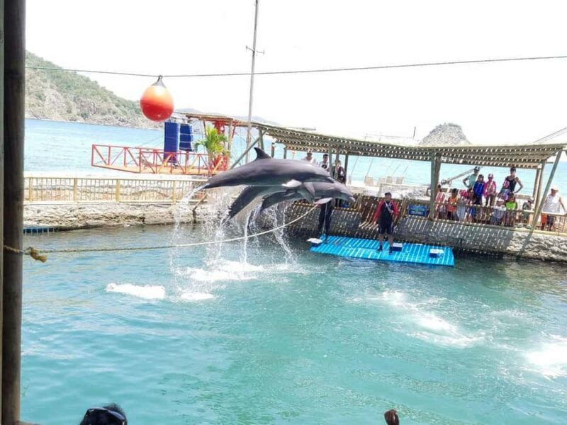 SANTAMARTA: Combo Tour Canopy, Aquarium, White Beach, Lunch included. - Key Points