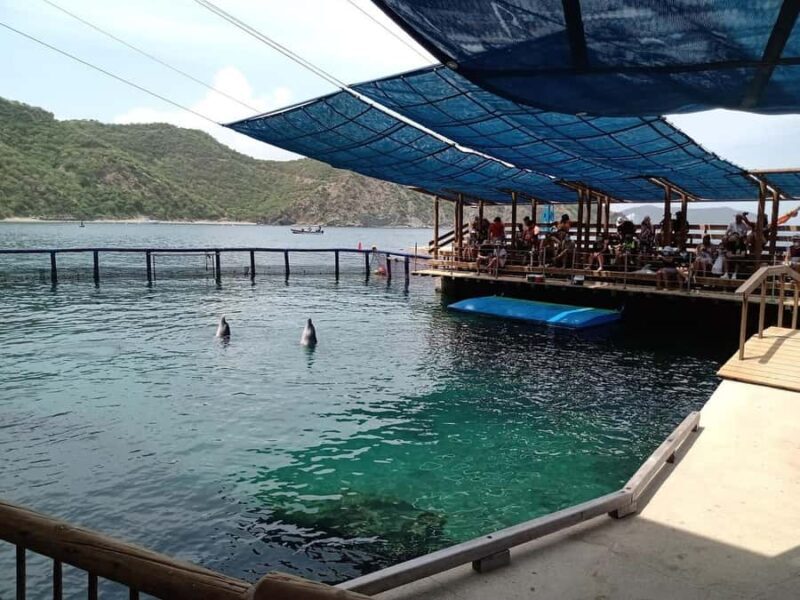 SANTAMARTA: Combo Tour Canopy, Aquarium, White Beach, Lunch included. - Diving Into the Details: What You Can Expect