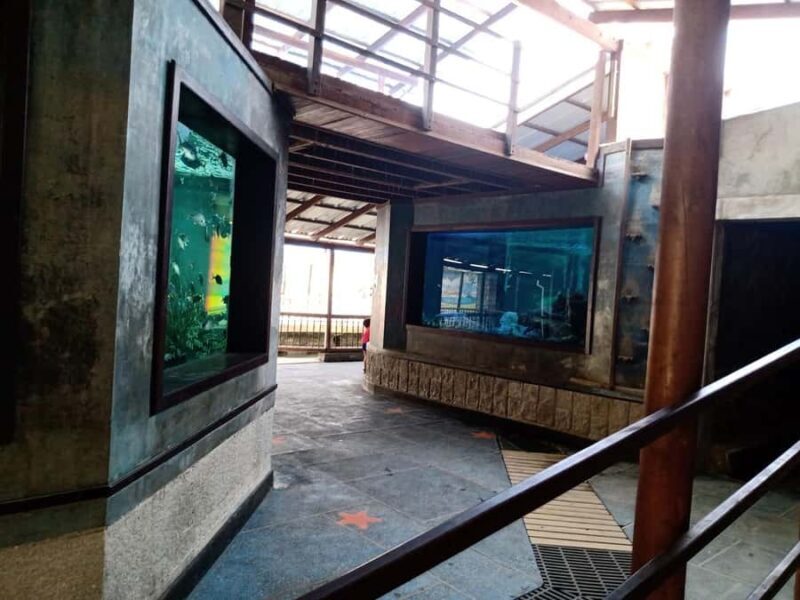 SANTAMARTA: COMBO TOUR taximarino+dolphins 5m+Aquarium+lunch+white beach - Santa Marta Combo Tour: Marine Adventure, Dolphins, Aquarium, and White Beach