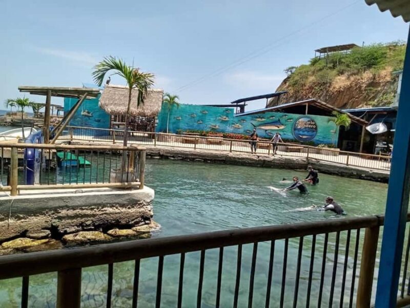 SANTAMARTA: COMBO TOUR taximarino+dolphins 5m+Aquarium+lunch+white beach - FAQ