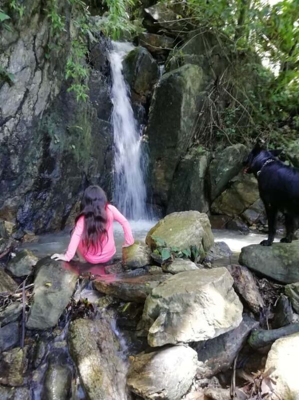 SANTAMARTA: TOUR Buritaca, River and Sea. Van, Breakfast and Lunch Included. - FAQ: Your Practical Questions Answered