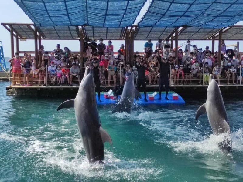 SANTAMARTA: TOUR Combo taximarino, aquarium, lunch and white beach - In-Depth Review of the Santa Marta Combo Tour