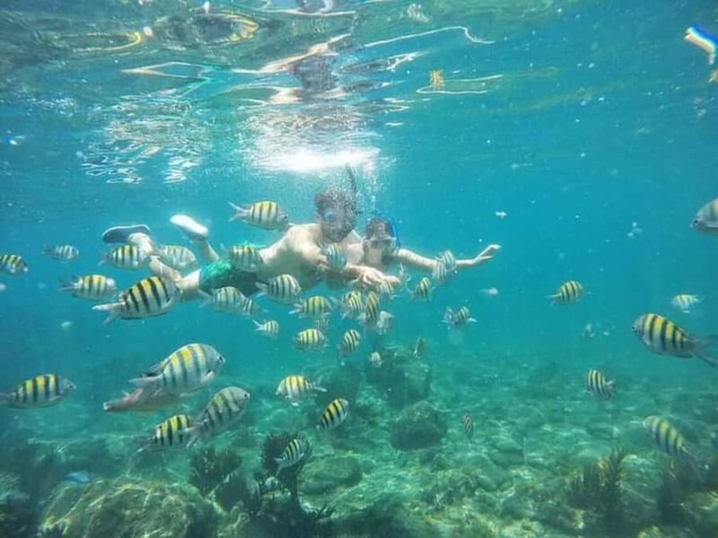 SANTAMARTA: TOUR Playa Cristal, Tayrona, Boat Transportation Included - FAQ