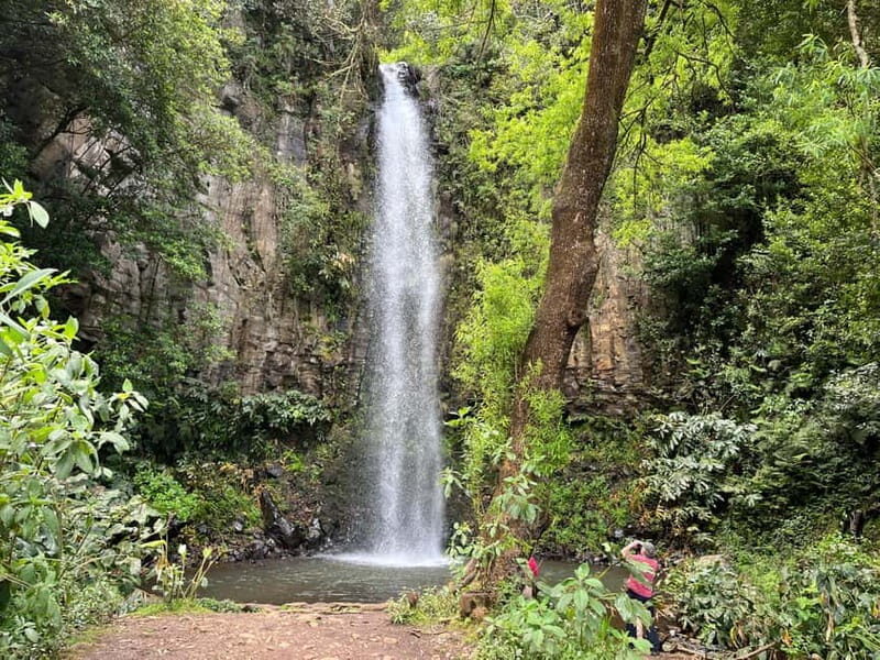 Santana: 4x4 Full-Day Tour to Northeast of Madeira Island - Final Thoughts