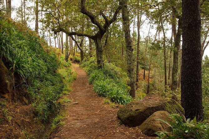 SANTANA Combo Expedition (Jeep & Levada Walk) - Shared Tour - Key Points