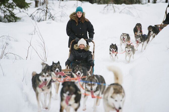 Santa's Reindeer & Husky Safari + Santa's Pets + Aurora Hunt! - FAQ