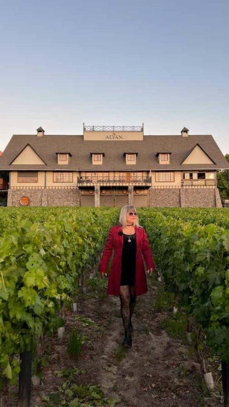 Santiago: Alyan Winery Sunset with Wine Tastings and Dinner - An In-Depth Look at the Alyan Winery Sunset Experience