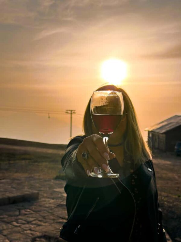 Santiago: Andes Mountains Sunset and Valle Nevado & Picnic - Morning Pickup and Transit