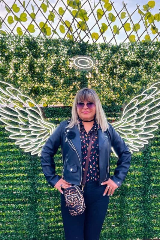 Santiago: Andes Mountains Sunset and Valle Nevado & Picnic - The Sum Up