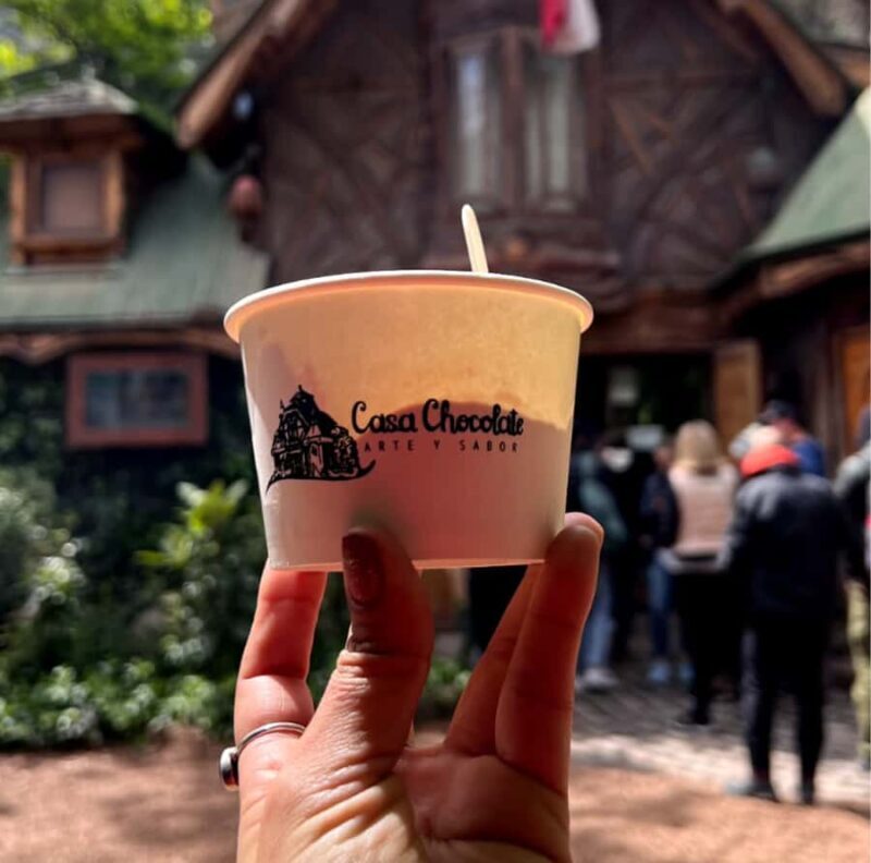 Santiago: Cajon del Maipo & Embalse El Yeso Trip with Picnic - The Sum Up