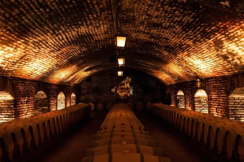 Santiago: Concha y Toro and Undurraga Vineyards Tour - What to Expect from the Tour