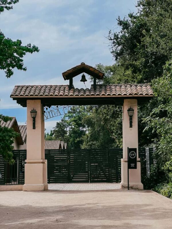 Santiago: Concha y Toro with transfer, tasting & gift cup - A Complete Guide to the Santiago: Concha y Toro Tour with Transfer, Tasting & Gift Cup