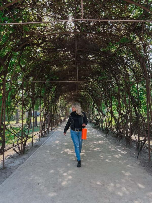 Santiago: Concha y Toro with transfer, tasting & gift cup - Key Points