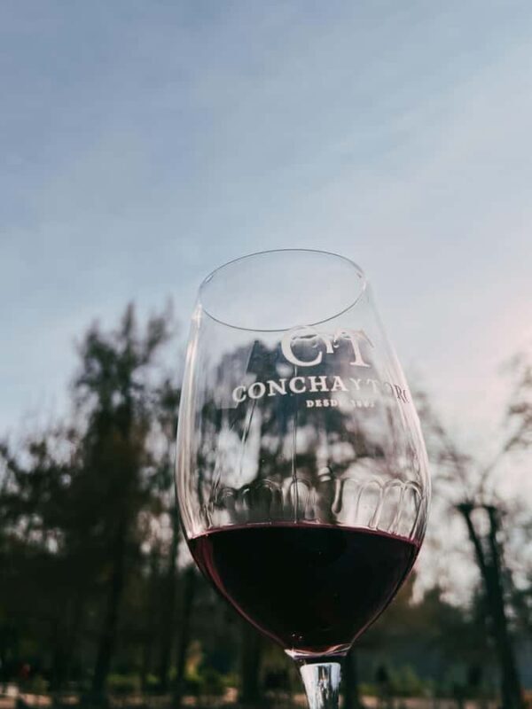 Santiago: Concha y Toro with transfer, tasting & gift cup - Final Thoughts