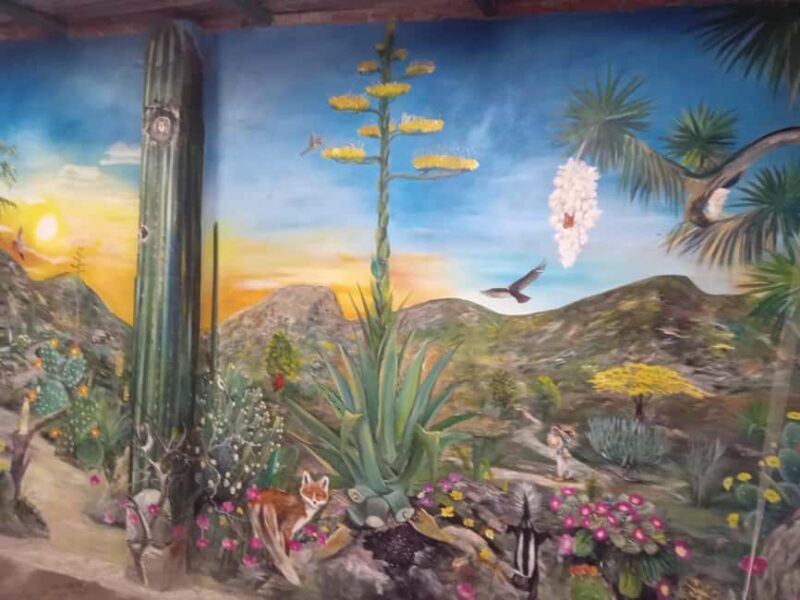 Santiago de Anaya, Hidalgo: Food tour. Experience among stoves. - What the Tour Offers and Why It Matters