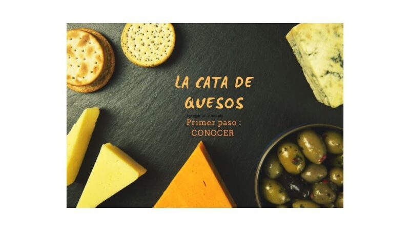 Santiago de Compostela: Cheese and Wine Tasting Experience - An In-Depth Look at the Cheese and Wine Tasting Experience