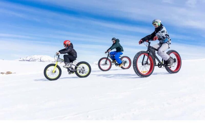 Santiago: El Colorado Ski Center Snow Day Tour - Transportation and Group Size