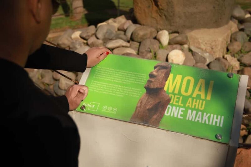 Santiago: Full day excursion in Viña del Mar and Valparaíso - Who Will Love This Tour?