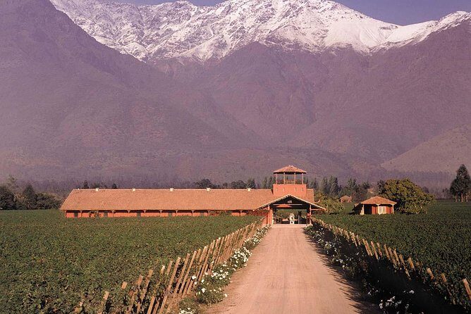 Santiago Full day tour to Maipo Valley, include entraces - The Sum Up