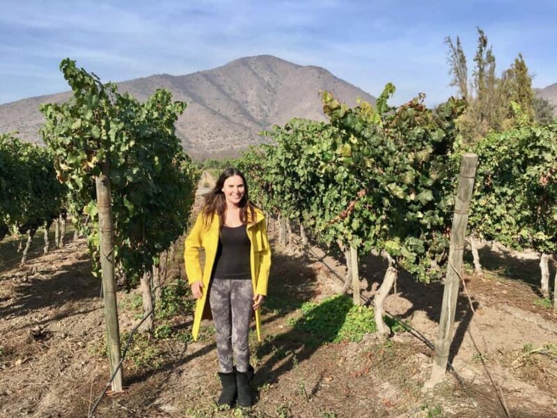 Santiago: Half-Day Santa Rita Winery Tour - Santiago: Half-Day Santa Rita Winery Tour — A Genuine Taste of Chilean Winemaking