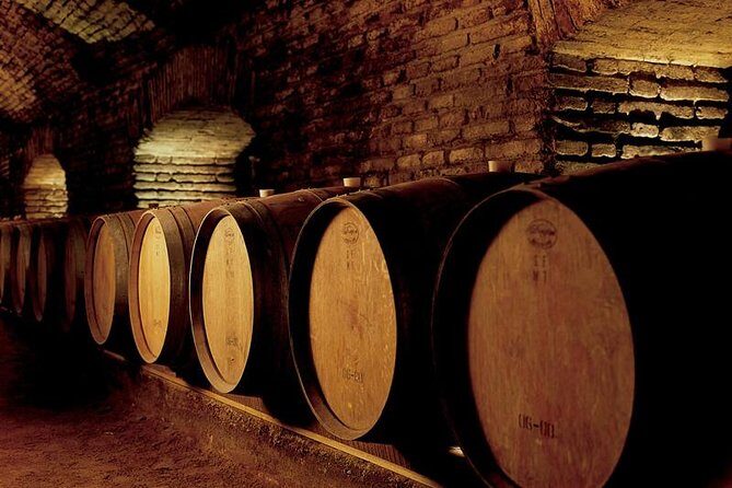 Santiago: Half day visit to Concha y Toro vineyard, include entrace & transport - Exploring the Concha y Toro Winery: A Practical, Authentic Experience