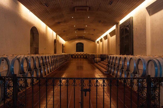 Santiago: Half day visit to Concha y Toro vineyard, include entrace & transport - Key Points