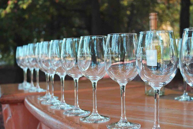 Santiago: Half day visit to Concha y Toro vineyard, include entrace & transport - Final Thoughts