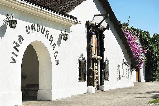 Santiago: Half day Visit to Undurraga vineyard, entrance and transport included - A Taste of Chilean Heritage at Undurraga Vineyard