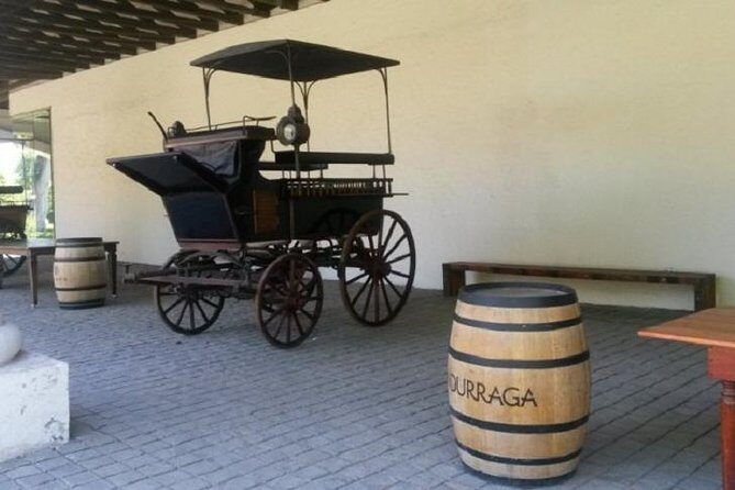 Santiago: Half day Visit to Undurraga vineyard, entrance and transport included - Key Points