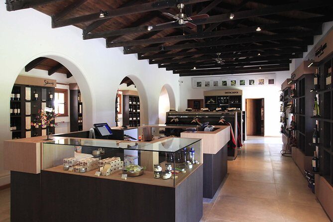 Santiago: Half day Visit to Undurraga vineyard, entrance and transport included - Authentic Insights from Reviews