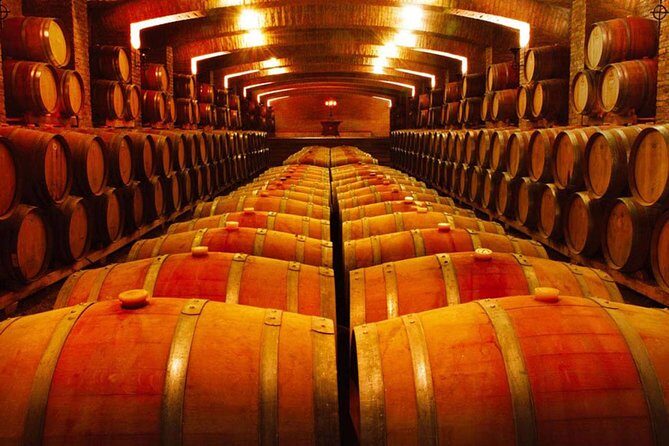 Santiago: Half day Visit to Undurraga vineyard, entrance and transport included - Why This Tour Offers Good Value