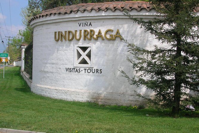 Santiago: Half day Visit to Undurraga vineyard, entrance and transport included - Who Should Consider This Tour?
