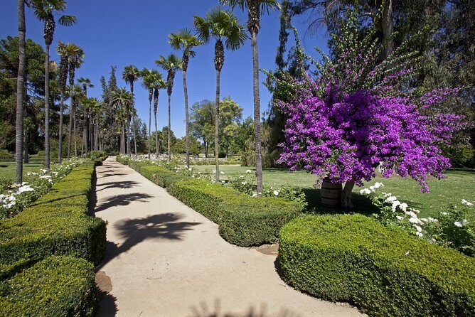 Santiago: Half day Visit to Undurraga vineyard, entrance and transport included - The Sum Up