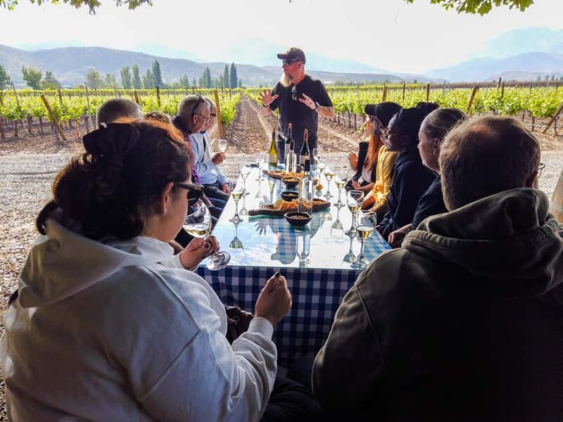 Santiago: Inca Lagoon Tour with Local Vineyard and Tasting - Analyzing the Cost and Value