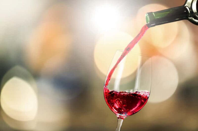 Santiago: Main Chilean Wineries Private Half-Day Tours - In-Depth Review of Santiago’s Main Chilean Wineries Private Tour