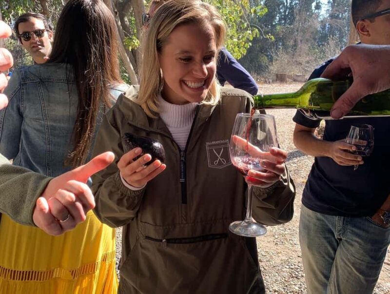 Santiago: Maipo Valley Wine Tasting Tour with 4 Vineyards - Key Points