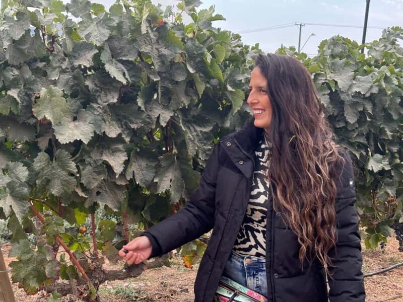 Santiago: Maipo Valley Wine Tasting Tour with 4 Vineyards - An In-Depth Look at the Maipo Valley Wine Tour