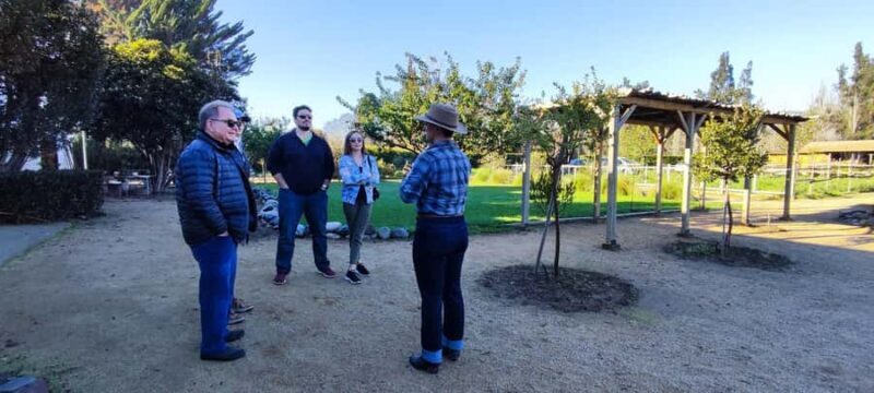 Santiago: Maipo Valley Wine Tasting Tour with 4 Vineyards - Practical Tips and Final Thoughts