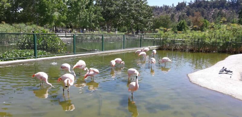 Santiago: Private Half-Day City Tour - What This Tour Offers and Why It Might Be Just Right for You