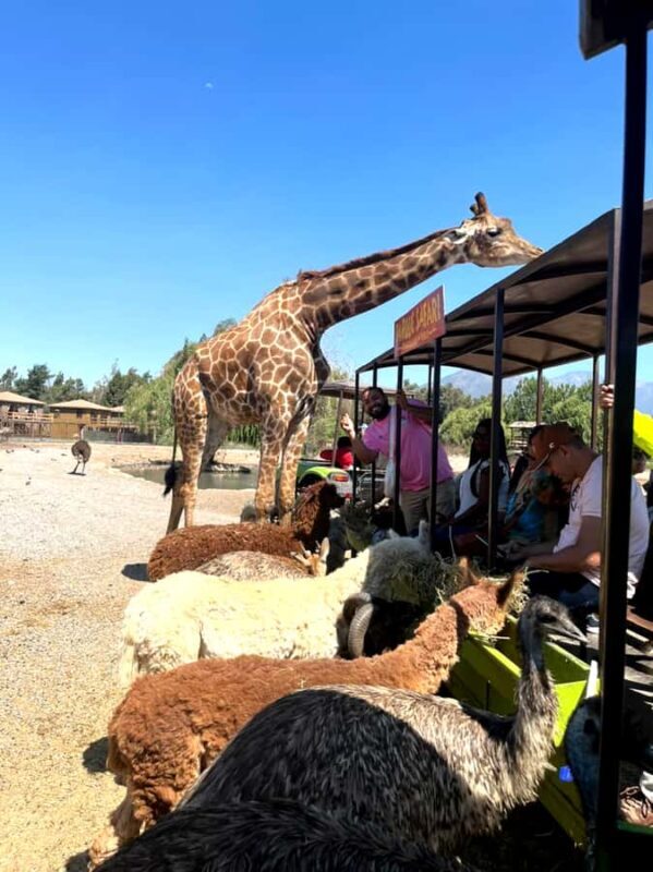Santiago: Safari Rancagua Tour - A Detailed Look at the Santiago: Safari Rancagua Tour