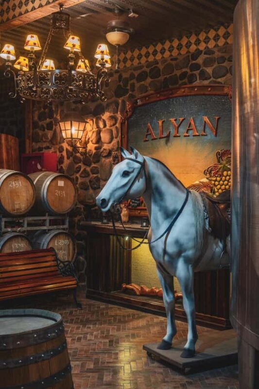 Santiago: Sunset at Vinicola Alyan Family - Final Thoughts