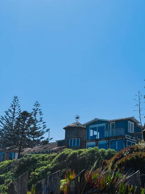 Santiago: Tour to Isla Negra, Algarrobo and Undurraga Wines - Transportation, Timing, and Group Experience