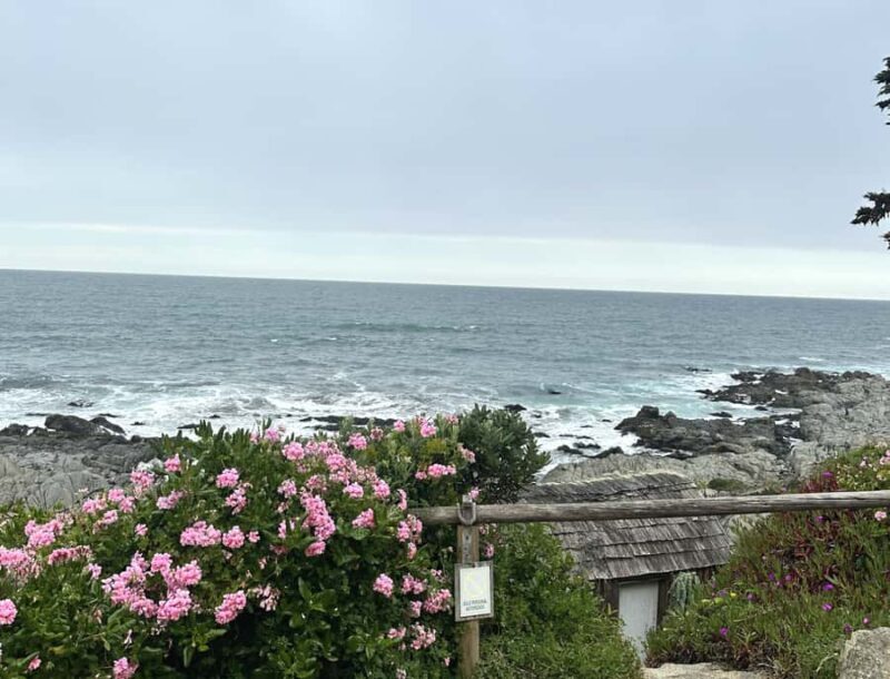 Santiago: Tour to Isla Negra, Algarrobo and Undurraga Wines - What Do the Reviews Say?