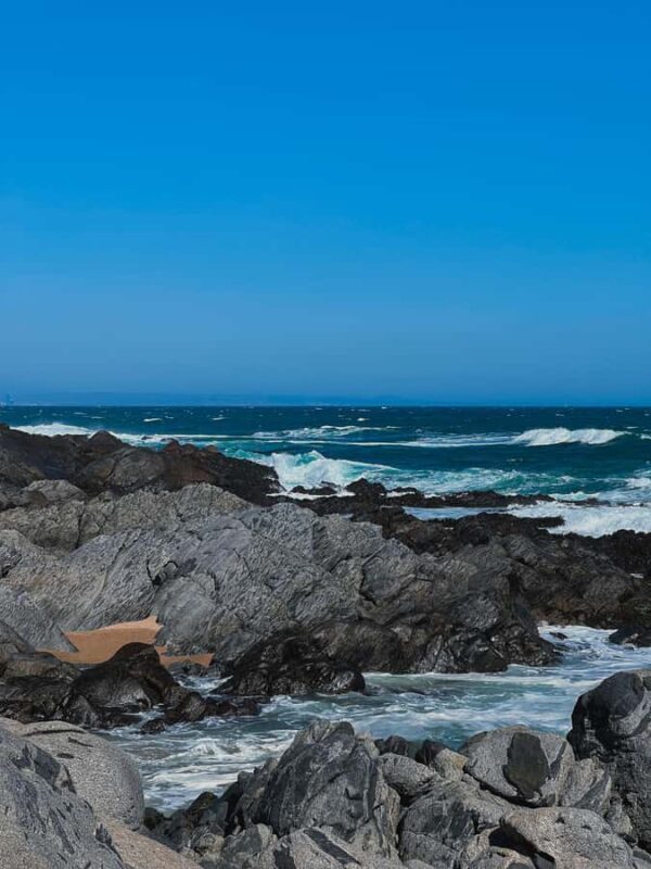 Santiago: Tour to Isla Negra, Algarrobo and Undurraga Wines - Final Thoughts: Is This Tour for You?